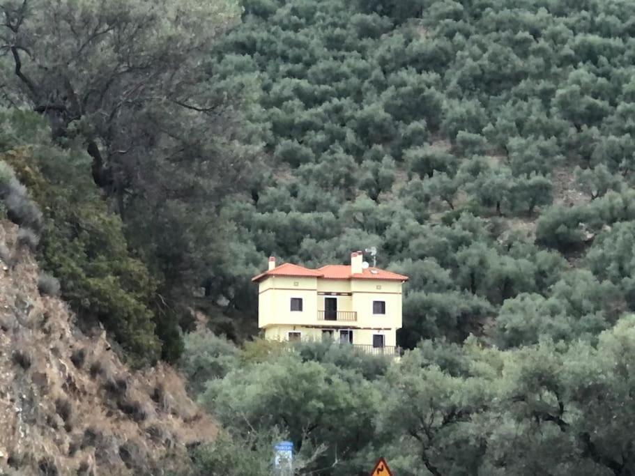 Pelion Mountain & Sea Villa - Private Studio Ano Gatzea Buitenkant foto