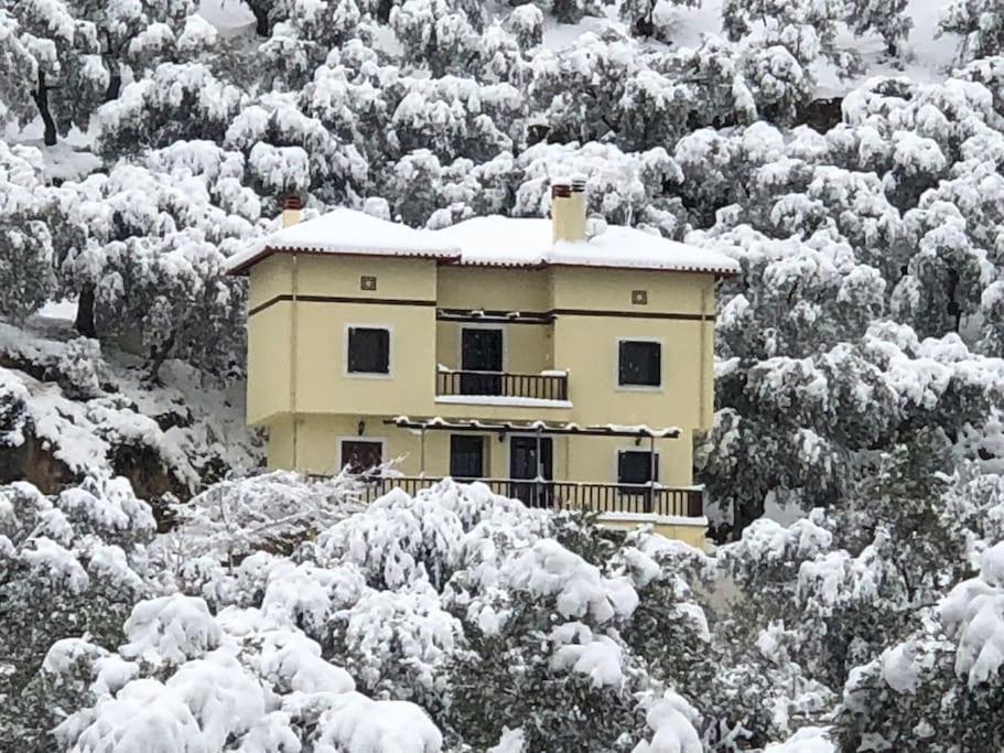 Pelion Mountain & Sea Villa - Private Studio Ano Gatzea Buitenkant foto