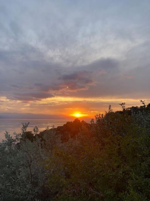 Pelion Mountain & Sea Villa - Private Studio Ano Gatzea Buitenkant foto