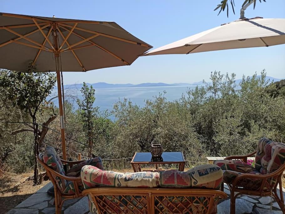Pelion Mountain & Sea Villa - Private Studio Ano Gatzea Buitenkant foto