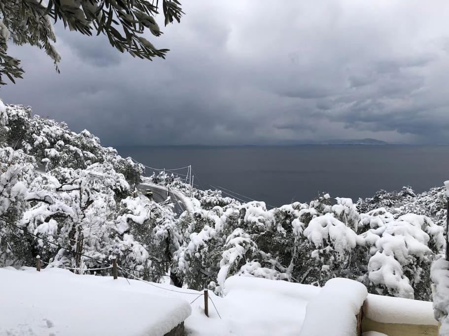 Pelion Mountain & Sea Villa - Private Studio Ano Gatzea Buitenkant foto