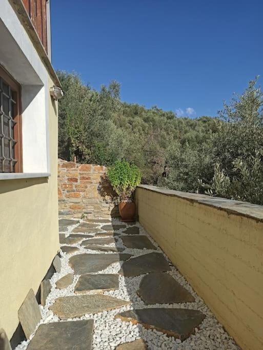 Pelion Mountain & Sea Villa - Private Studio Ano Gatzea Buitenkant foto